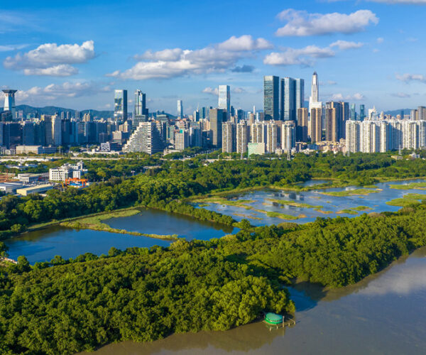 China unveils its International Mangrove Centre