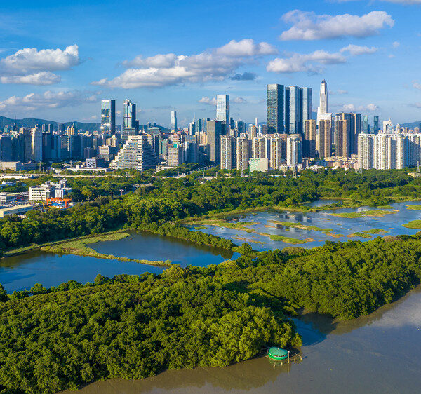 China unveils its International Mangrove Centre