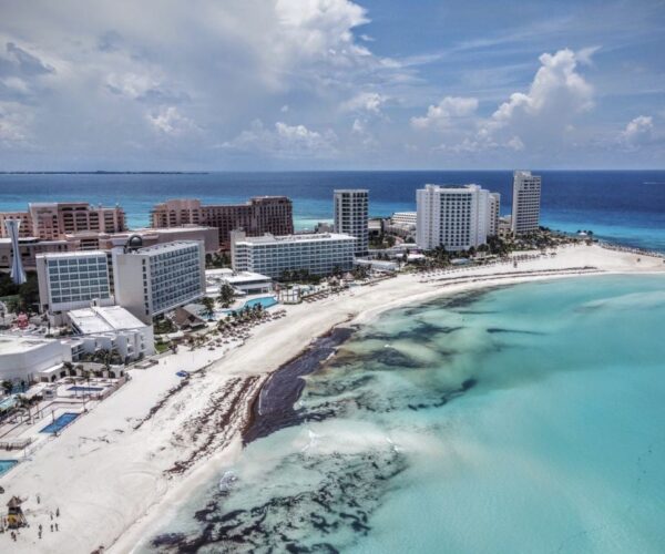 Florida & Cancun Beaches Brace For All Time Record Sargassum Seaweed Season